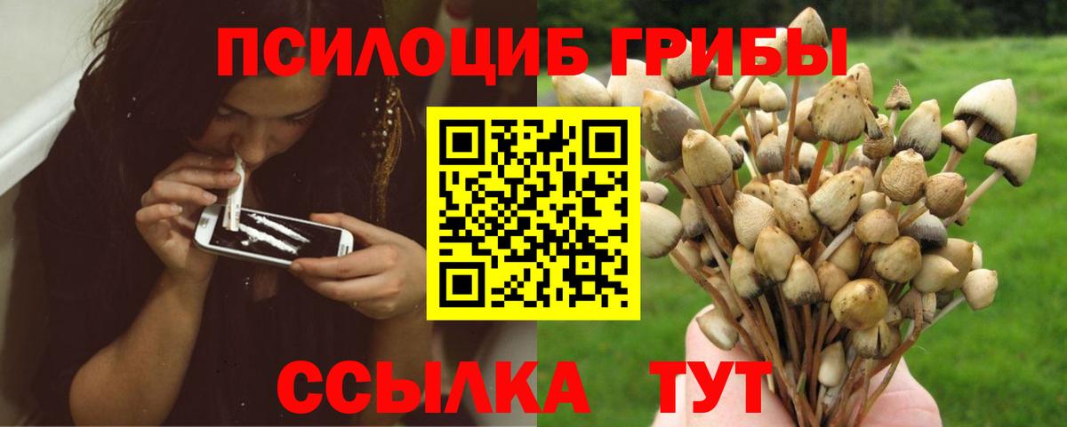 Галлюциногенные грибы ЛСД Лосино-Петровский